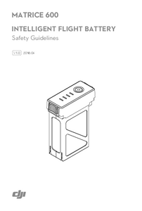 M600 Intelligent Flight Battery Safety Guidelines en